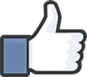The Facebook Like Icon